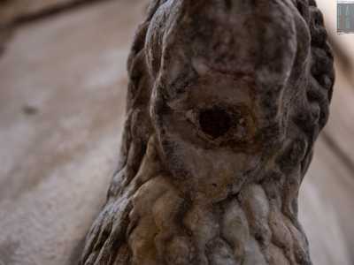 Tra le fauci del litico animale riusciamo a scorgere un piccolo foro ostruito, forse derivante da un precedente utilizzo dell�elemento come scolo per l�acqua piovana il cui scrosciare ha consumato in parte la criniera della bestia